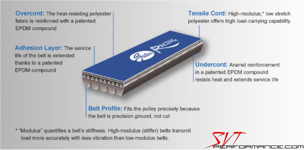 Tech Gates Blue Racing Belts FordPowered