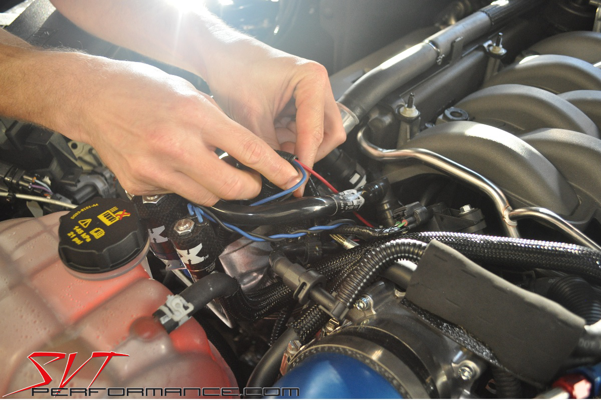 Tech 2015 Mustang Progressive Nitrous FordPowered